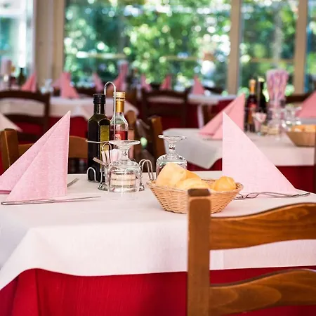 Hotel Al Platano Caprino Veronese