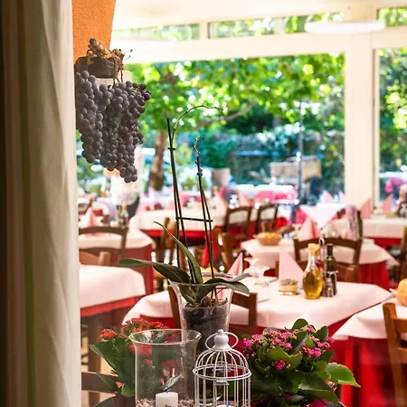 Hotel Al Platano Caprino Veronese