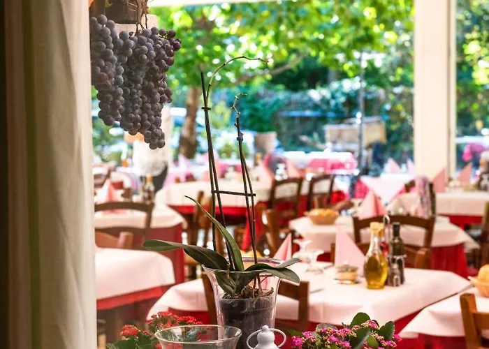 Hotel Al Platano Caprino Veronese
