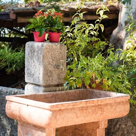 Al Platano * Caprino Veronese